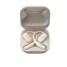 Earbuds in case