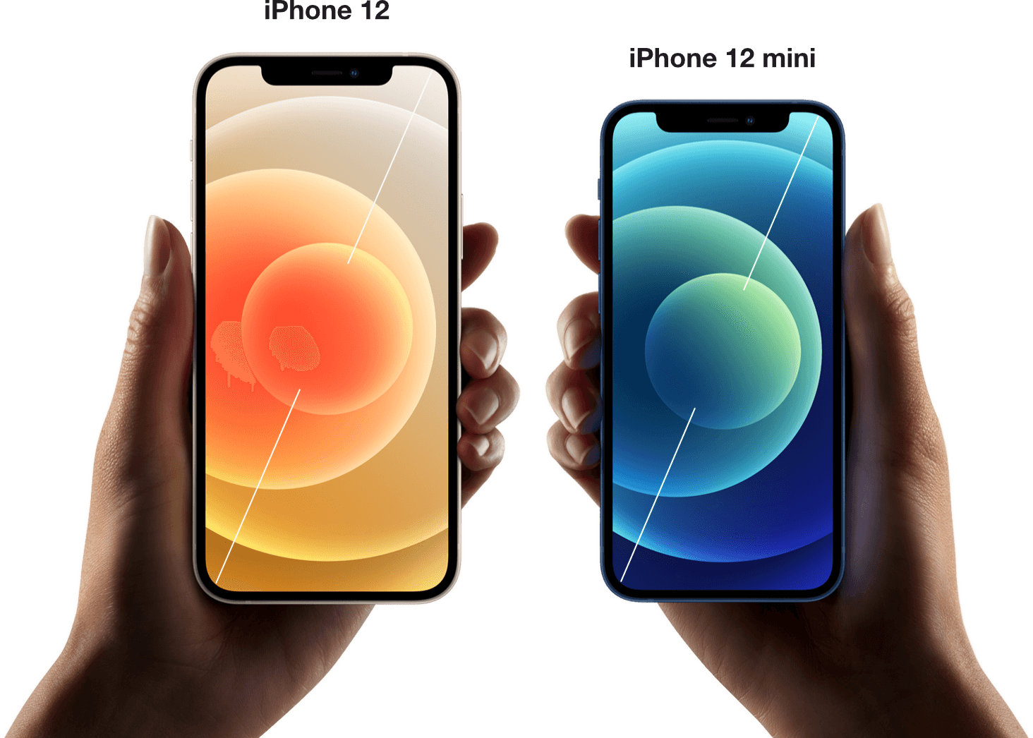 Discover iPhone 12